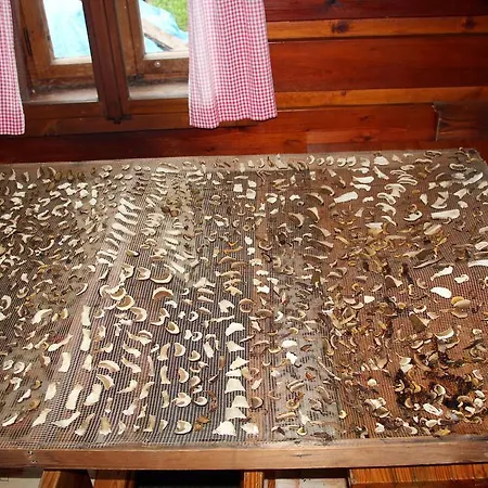 게스트하우스 U Kotle