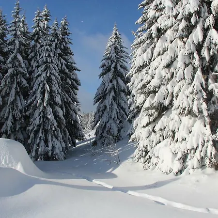 U Kotle 게스트하우스 호르니 미섹키