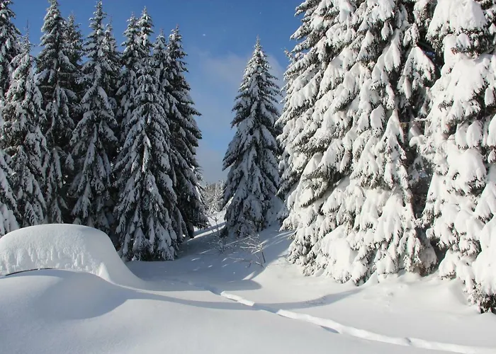 U Kotle Penzion Horní Mísečky